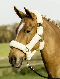 Produktbild von Halfter GUARD Pony