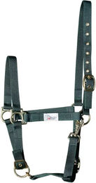 Produktbild von Halfter Harry's Horse