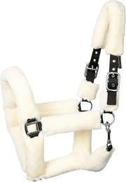 Produktbild von Halfter Harry's Horse Teddy