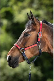 Produktbild von Halfter HFI