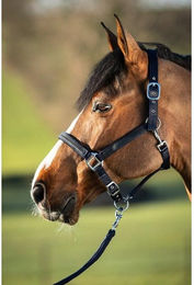 Produktbild von Halfter HFI First