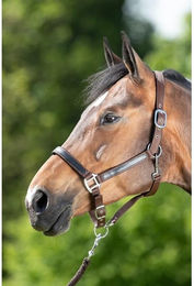 Produktbild von Halfter HFI First