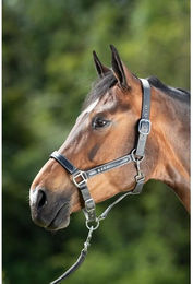 Produktbild von Halfter HFI First