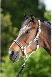 Halfter HFI First – Bild 1 von 5