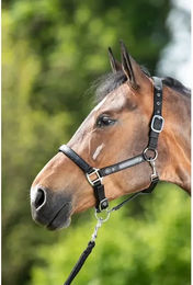 Produktbild von Halfter HFI First