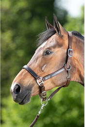 Produktbild von Halfter HFI First