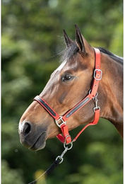 Produktbild von Halfter HFI First