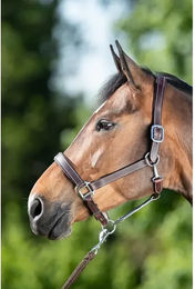 Produktbild von Halfter HFI Flat