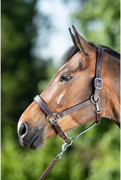 Produktbild von Halfter HFI Flat