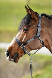 Produktbild von Halfter HFI Neoprene Smart