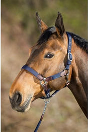 Produktbild von Halfter HFI Neoprene Smart