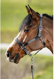 Produktbild von Halfter HFI Neoprene Smart