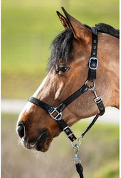 Produktbild von Halfter HFI Smart