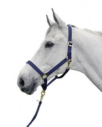 Produktbild von Halfter HÖL Regular