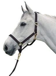 Produktbild von Halfter HÖL Regular