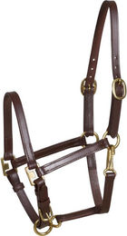 Produktbild von Halfter HorseGuard