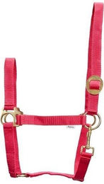 Produktbild von Halfter HorseGuard
