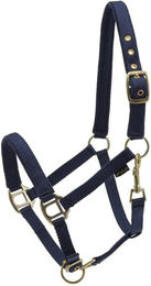 Produktbild von Halfter HorseGuard
