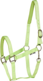 Produktbild von Halfter HorseGuard