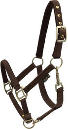 Produktbild von Halfter HorseGuard