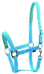 Produktbild von Halfter HorseGuard