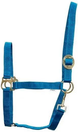 Produktbild von Halfter HorseGuard