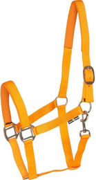 Produktbild von Halfter HorseGuard
