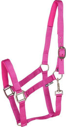 Produktbild von Halfter HorseGuard