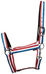 Produktbild von Halfter HorseGuard Faxi