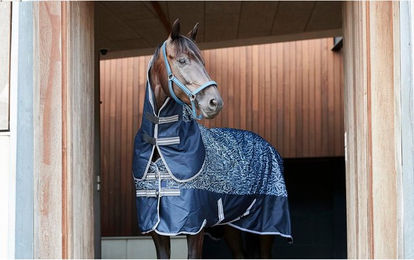 Produktbild von Halfter HorseGuard Jewel