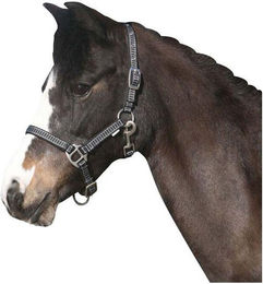 Produktbild von Halfter HorseGuard Rio