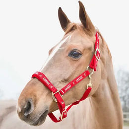 Produktbild von Halfter Horze Hamptons