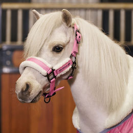 Produktbild von Halfter HVPSacha