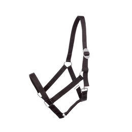 Halfter Kavalkade – Bild 1 von 3