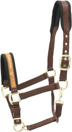 Produktbild von Halfter Kieffer Collection