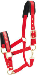 Produktbild von Halfter Kieffer Collection