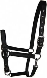 Produktbild von Halfter Lami-Cell Sparkling