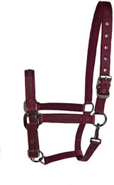 Produktbild von Halfter Lami-Cell Sparkling