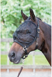 Halfter mit Fliegennetz Harry's Horse – Bild 1 von 2