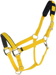 Produktbild von Halfter mit Nubuklederfutter Daslö