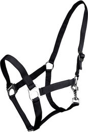 Produktbild von Halfter mit Schlaufe QHP