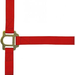 Produktbild von Halfter mit Schnallenverschlüssen für Pferde Norton