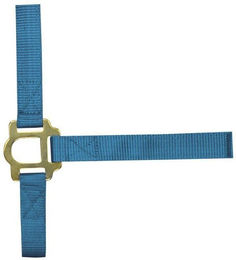 Produktbild von Halfter mit Schnallenverschlüssen für Pferde Norton