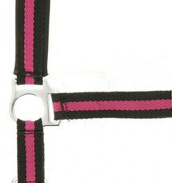 Produktbild von Halfter Norton