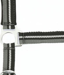 Halfter Norton Brillant – Bild 1 von 2