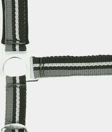 Halfter Norton Brillant – Bild 1 von 2