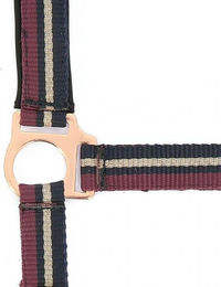 Halfter Norton Brillant – Bild 1 von 2