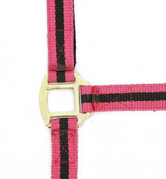 Halfter Norton – Bild 1 von 2