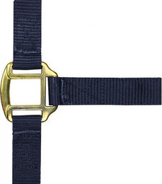 Halfter Norton – Bild 1 von 2