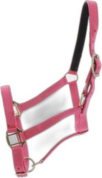 Produktbild von Halfter Norton Doublé cuir